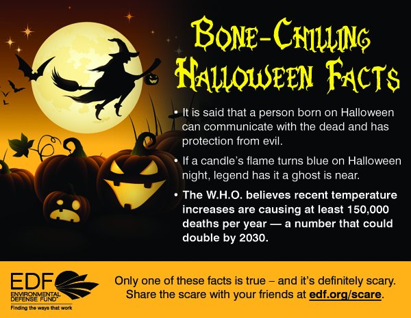 Bone-chilling Halloween facts: Spiders, bats, and climate 